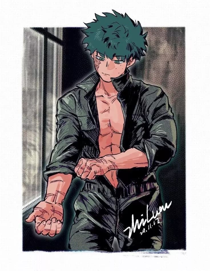 Izuku Midroya The Hero Number (1) 🌟 thumbnail