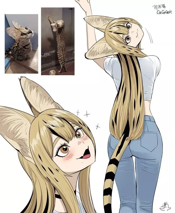 Catter thumbnail