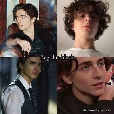 Regulus black thumbnail