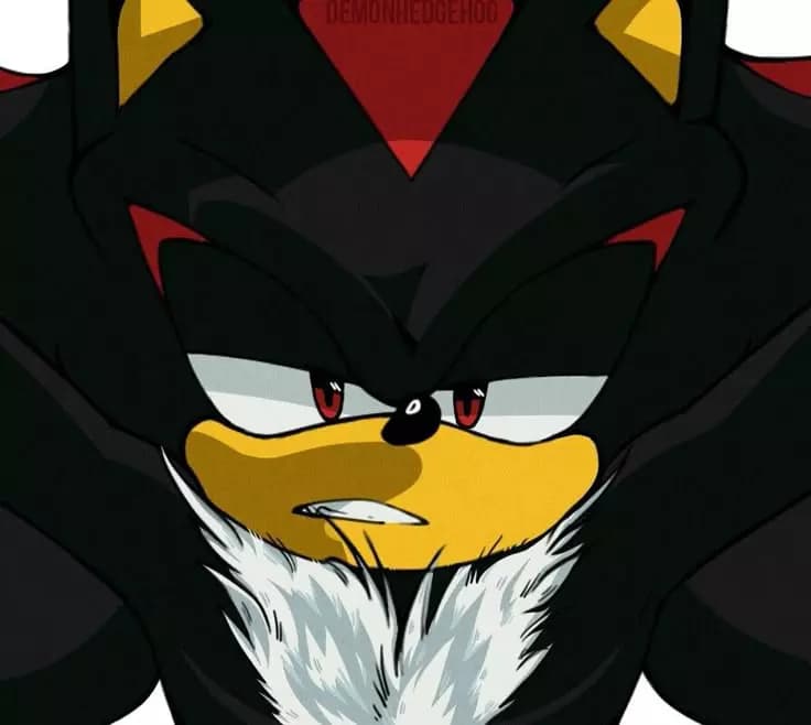 Shadow the Hedgehog thumbnail