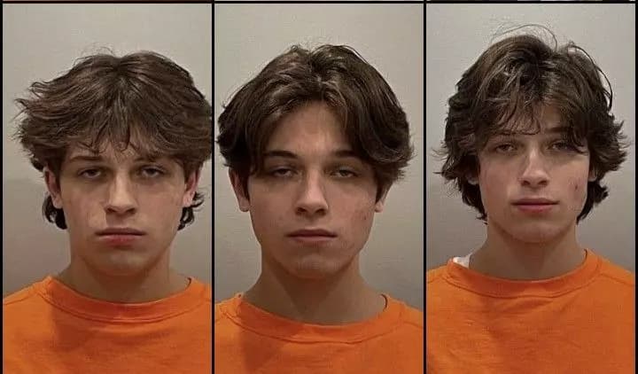 Sturniolo triplets  thumbnail