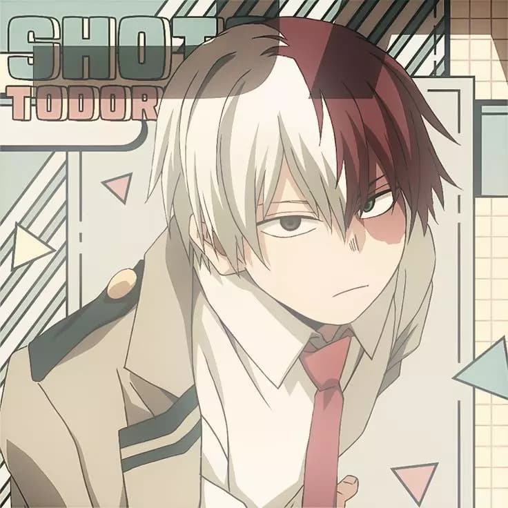 Shoto Todoroki thumbnail