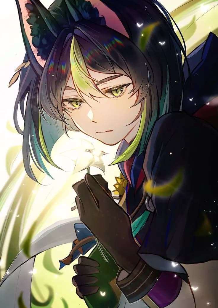 Tignari thumbnail