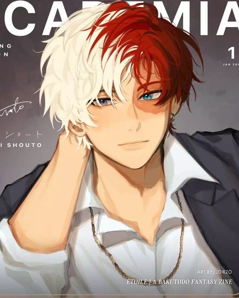 Shoto Todoroki thumbnail