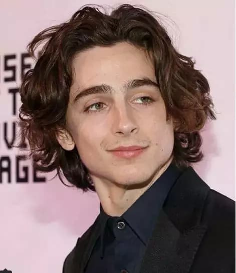 Timothee chalamet  thumbnail
