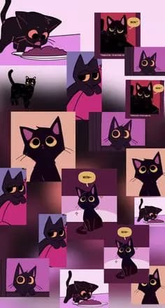 Do not take this cat home thumbnail