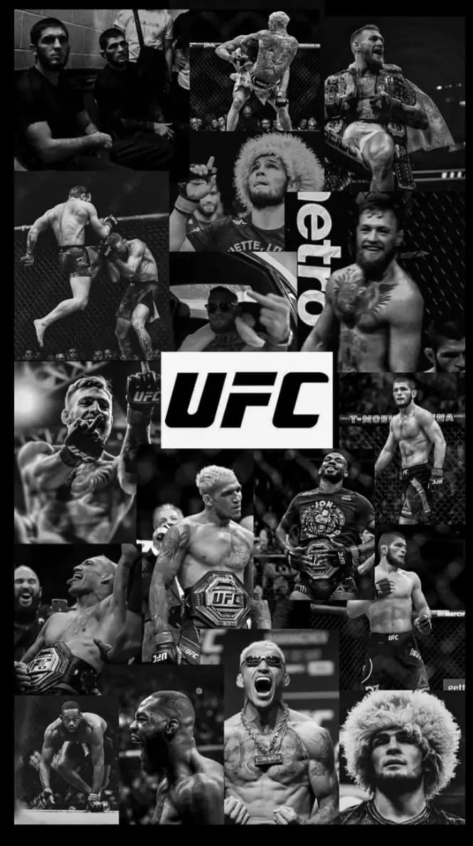 UFC Career thumbnail