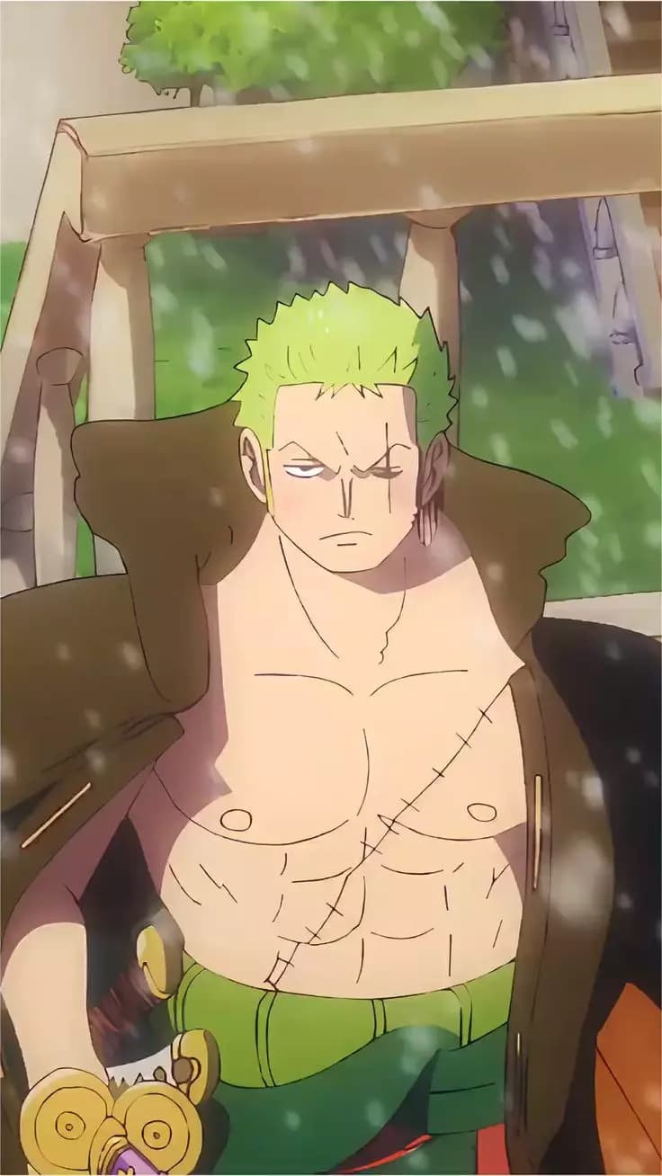 Zoro - BL thumbnail