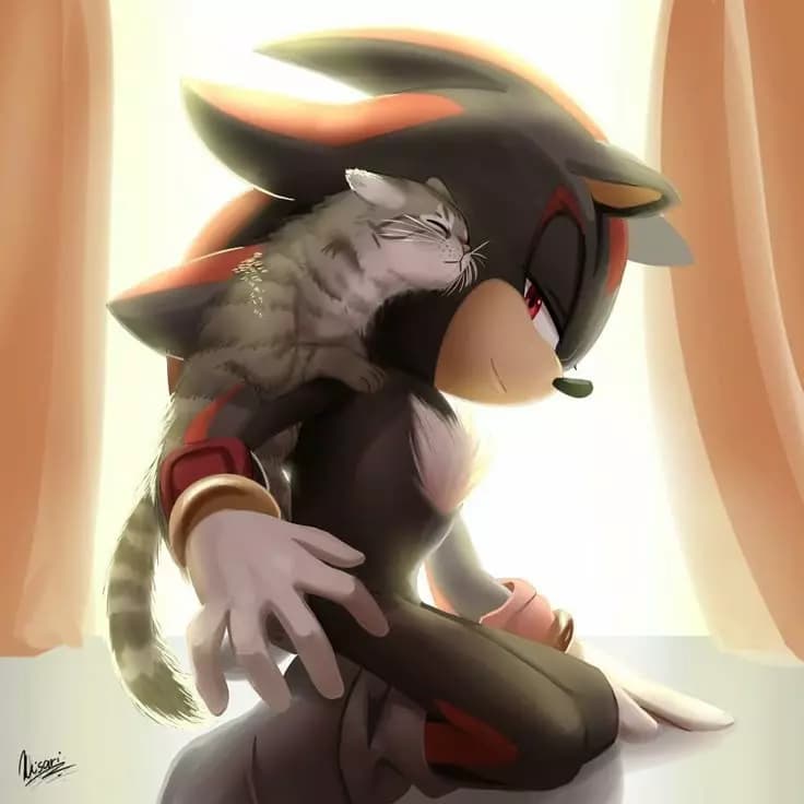 \-Shadow- thumbnail