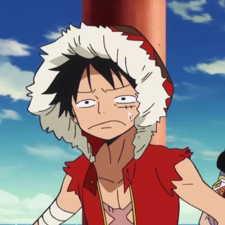 Monkey D Luffy  thumbnail