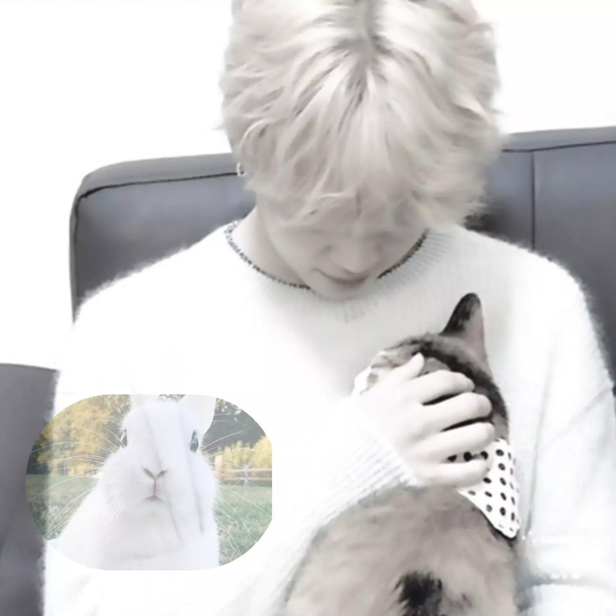 Jimin thumbnail