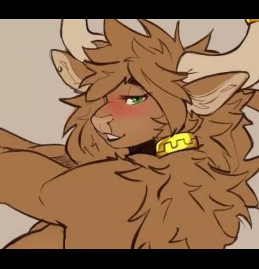 fessifer thumbnail