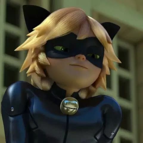 black cat thumbnail