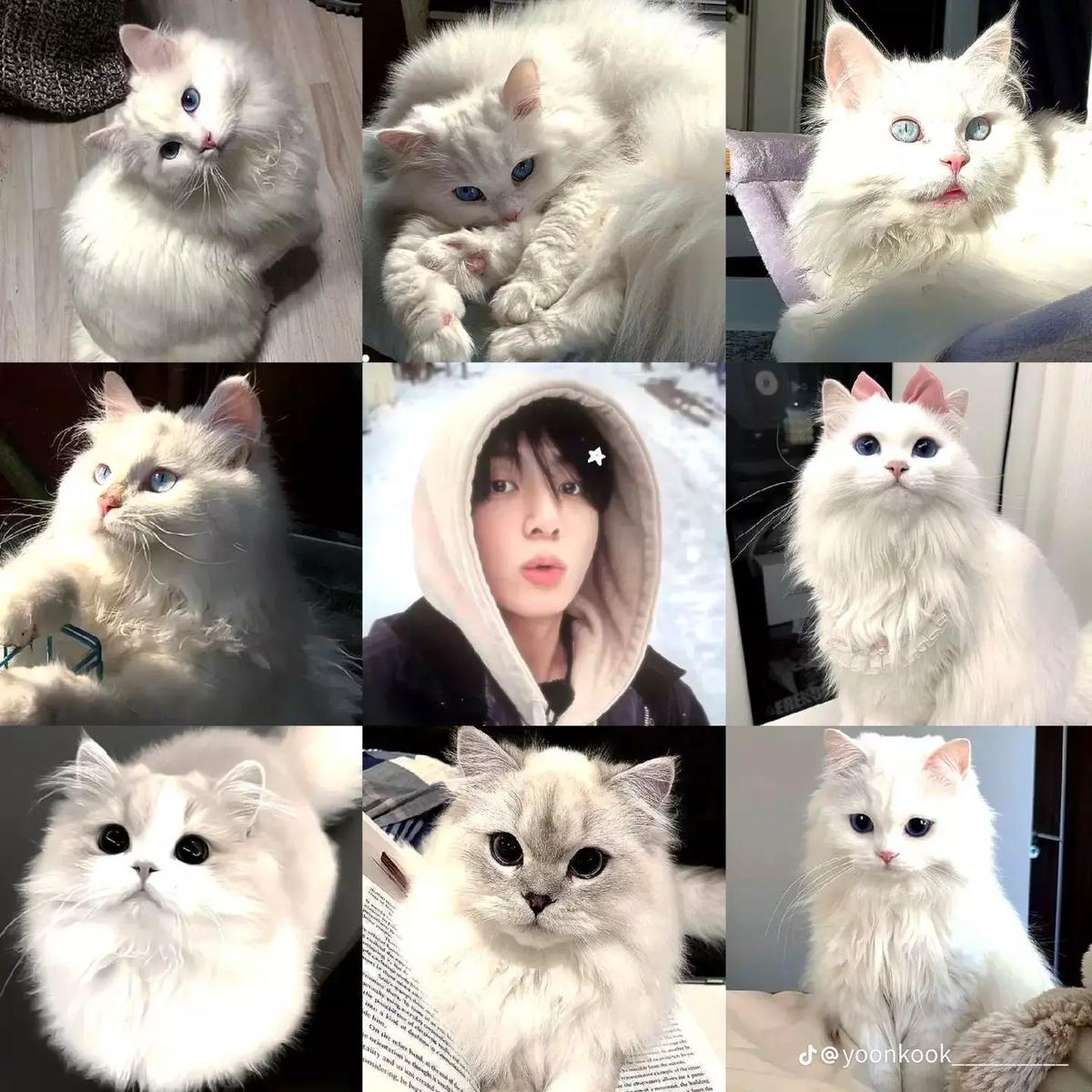 Jungkook thumbnail