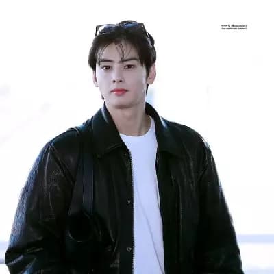 Cha Eunwoo 27 thumbnail