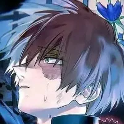 Shoto Todoroki thumbnail