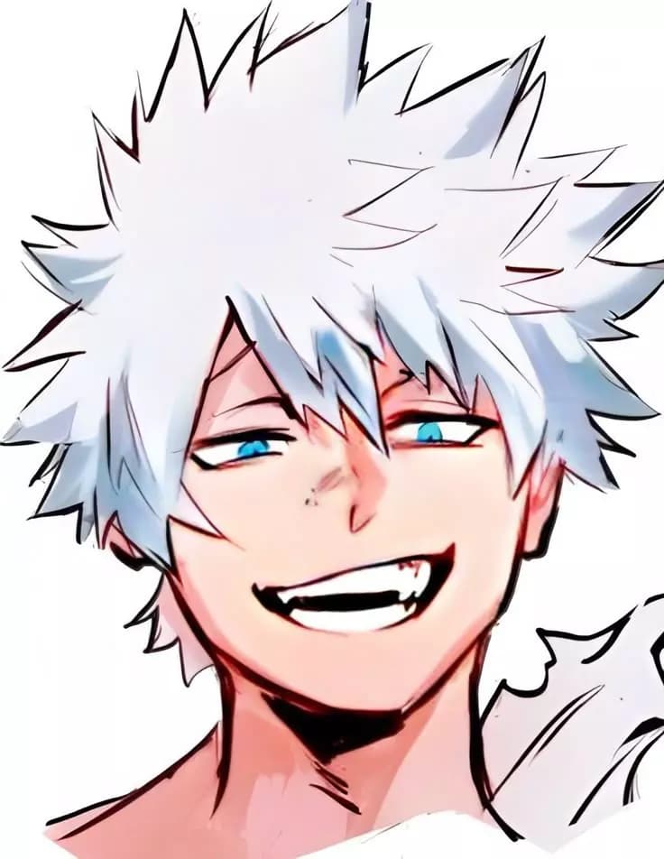 Touya Todoroki thumbnail