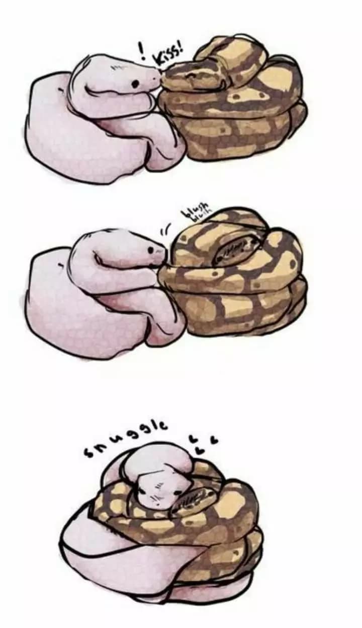 (-Just Two Snakes in Love-) thumbnail