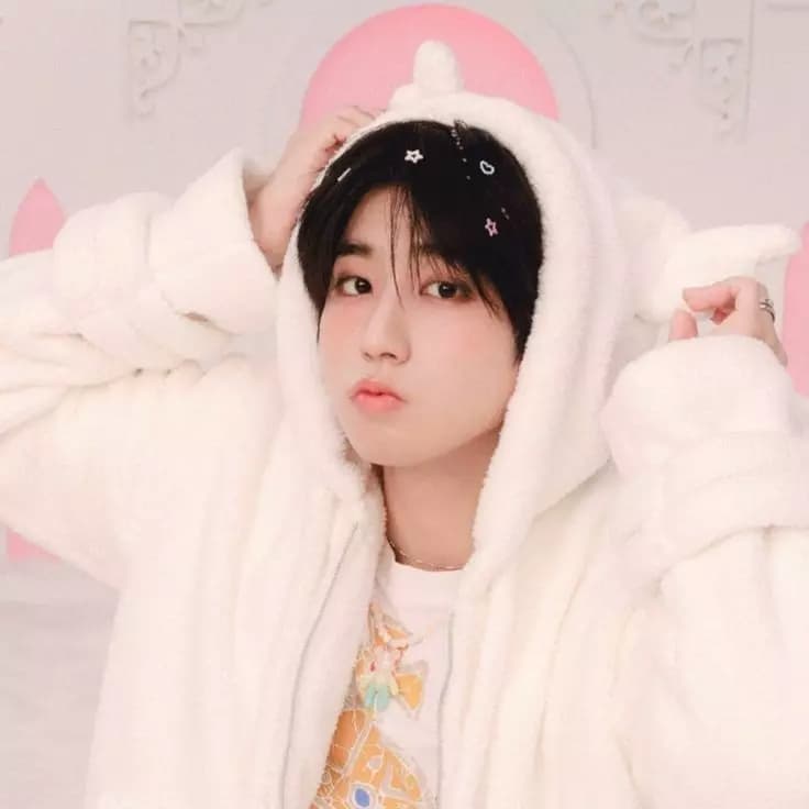 Han Jisung  thumbnail