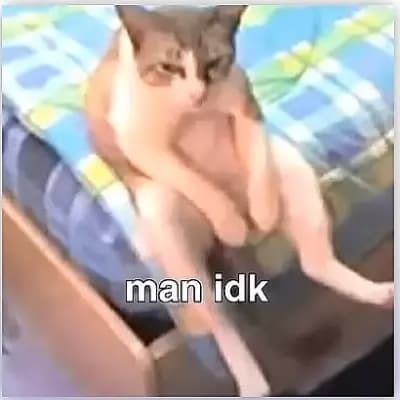 Cat Handle thumbnail