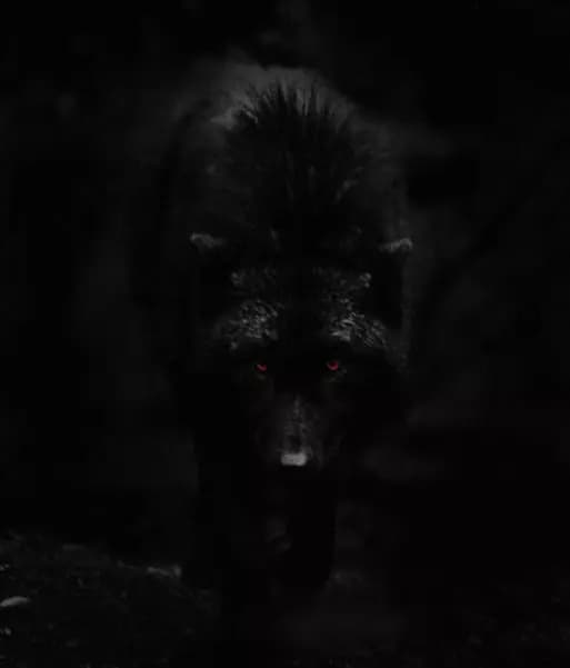 Indominus wolf thumbnail