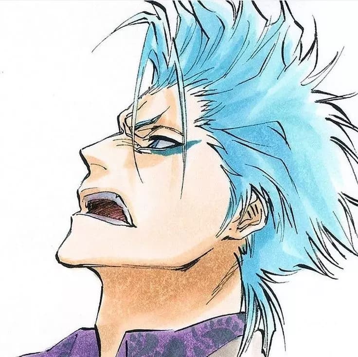 Grimmjow Jaegerjaquez thumbnail