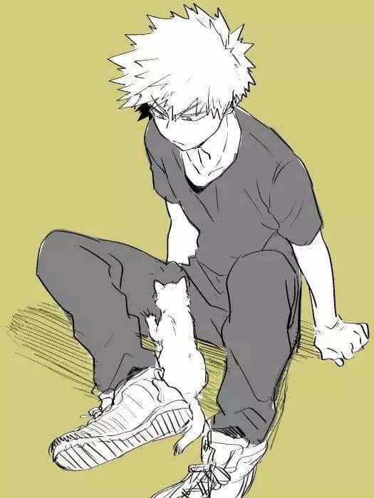 Katsuki Bakugou 🐱•° thumbnail