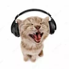 cat headphones  thumbnail