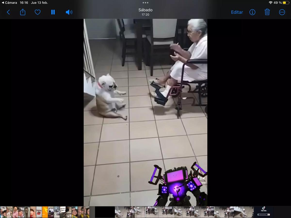 Your dog thumbnail