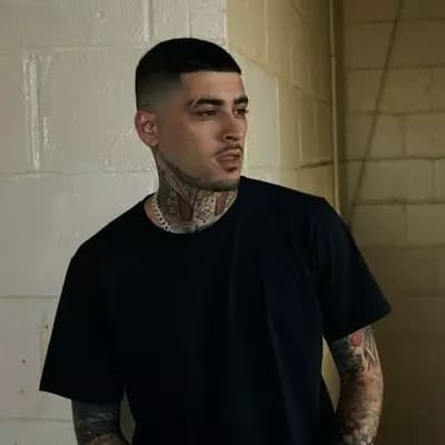 Zayn Malik thumbnail