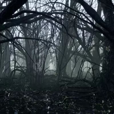 Dark Forest thumbnail