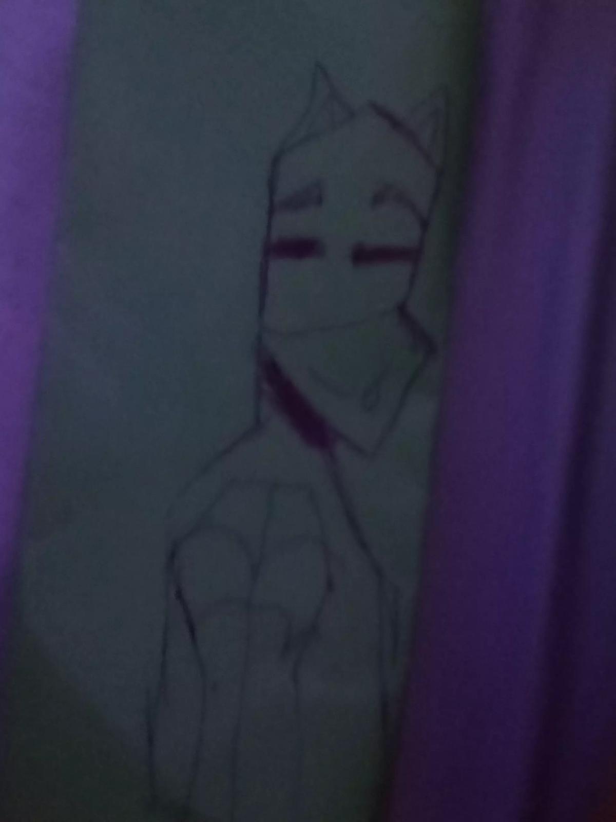 Cat Donnie  thumbnail