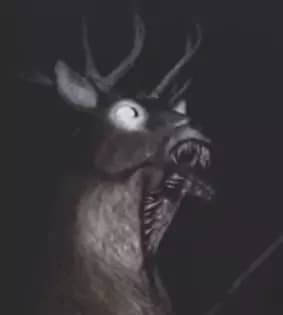 SCP-6448 / "Not-Deer" thumbnail