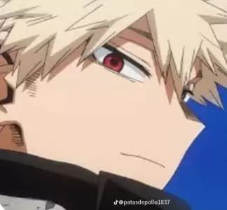 •°Bakugou Katsuki°• (seu dono) thumbnail