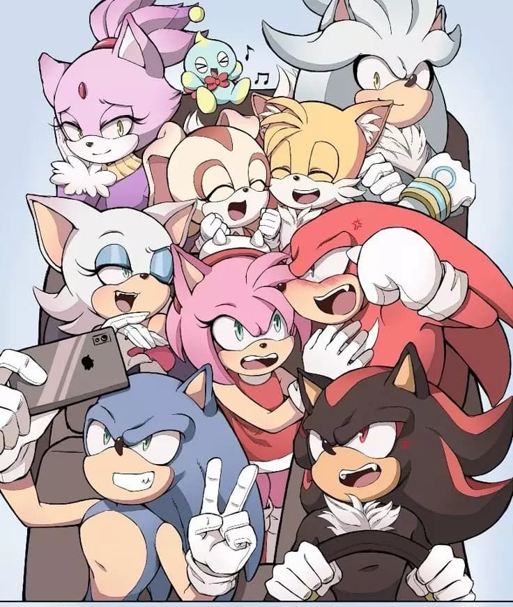 Sonic and his friends on the beach (I took it from Poly Ia) thumbnail