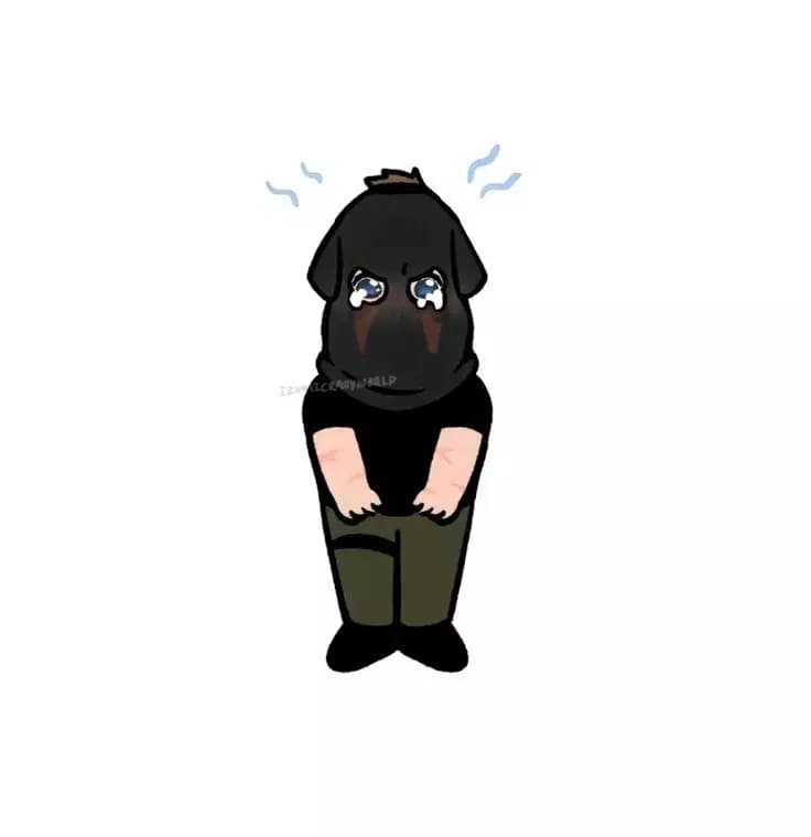 König thumbnail