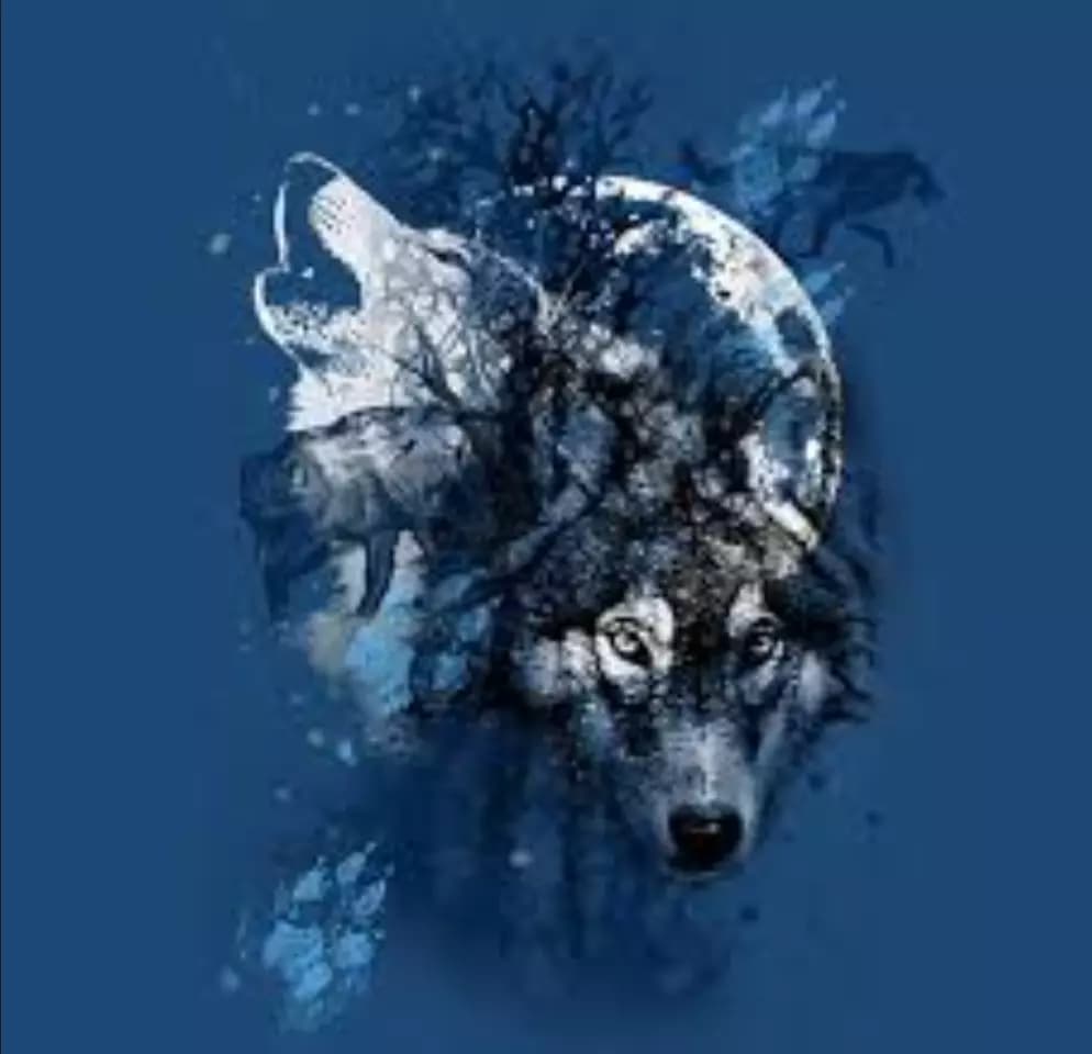 Alpha wolf thumbnail