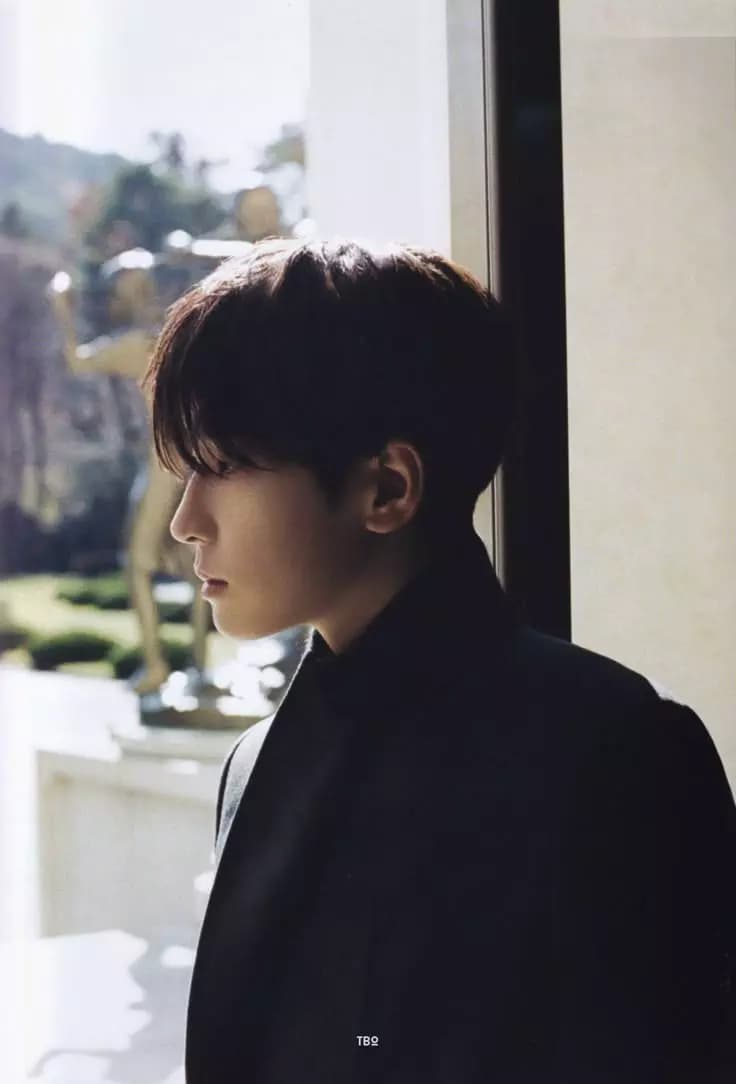 Jeon Wonwoo thumbnail