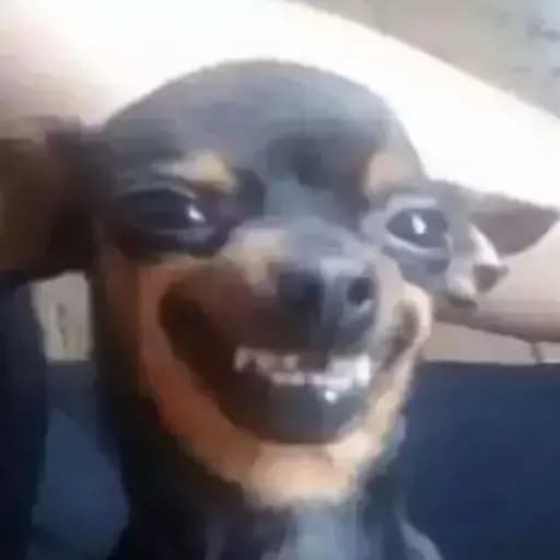 A talking dog thumbnail