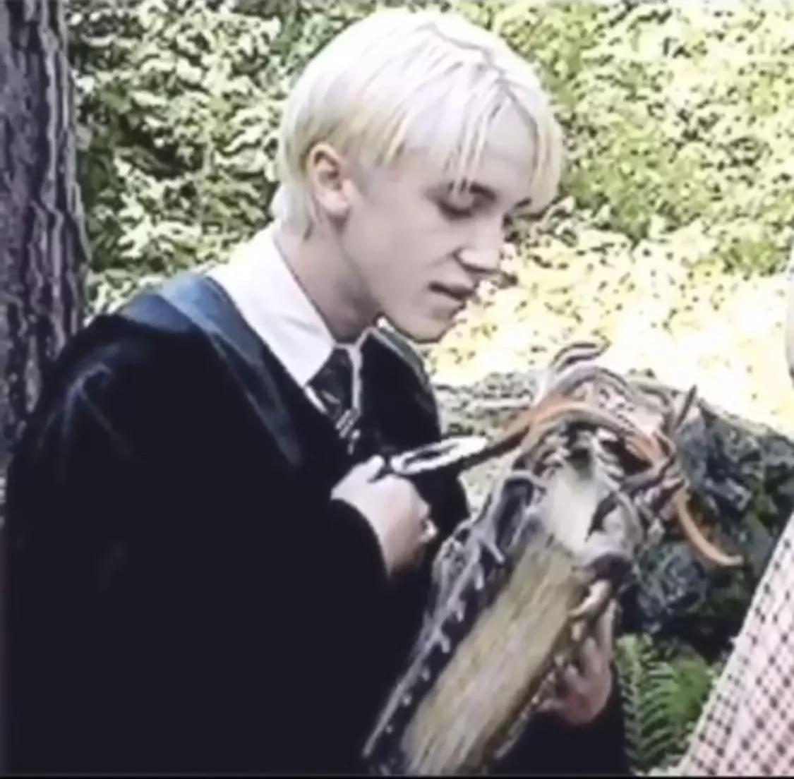 Draco Malfoy thumbnail