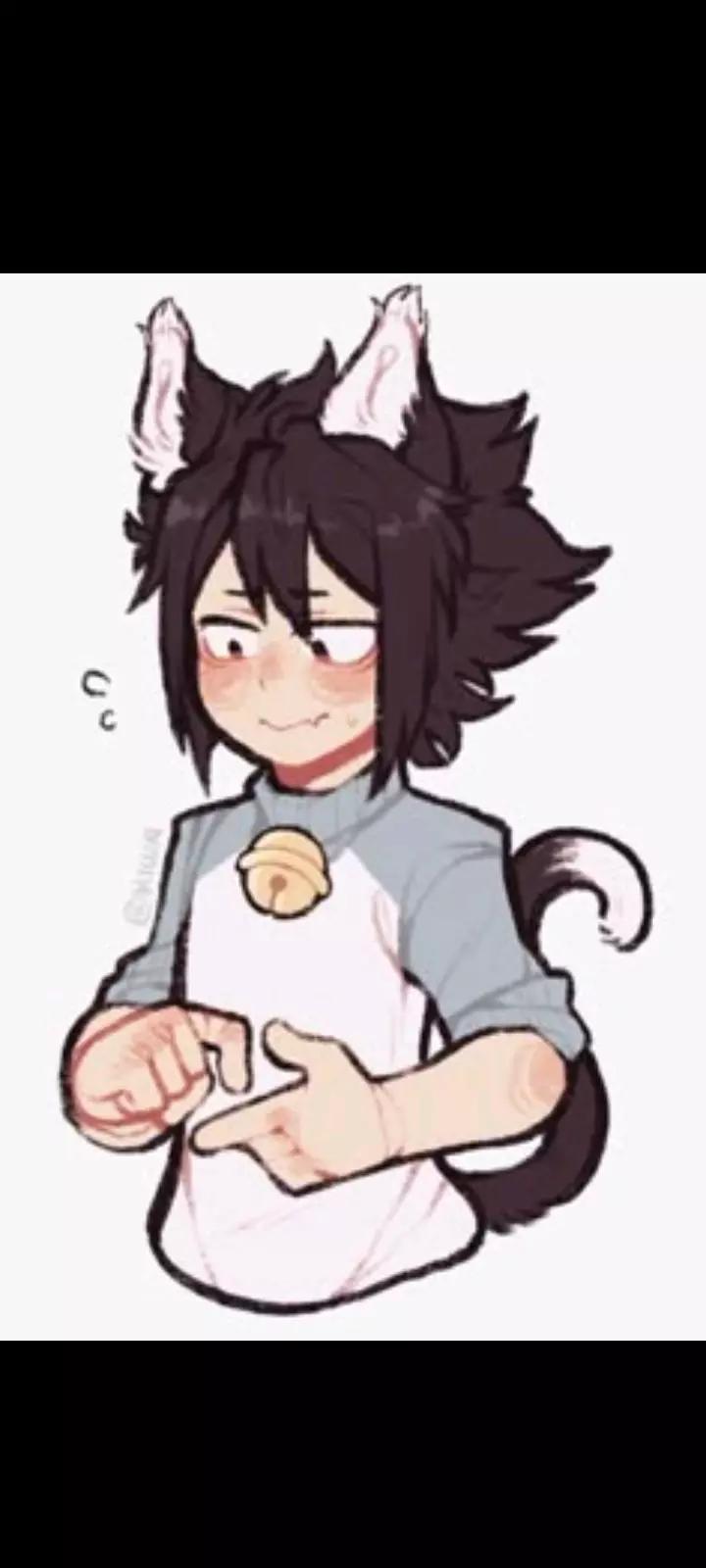 tamaki-alfa thumbnail