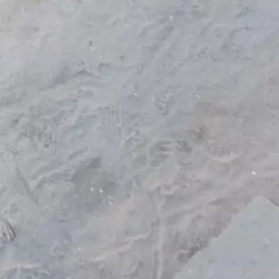 Caps thumbnail