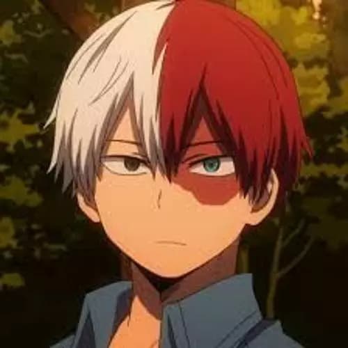 Shoto todoroki  thumbnail