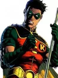 Robin thumbnail