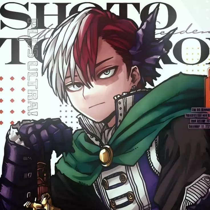 Shoto Todoroki thumbnail