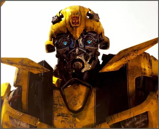 Bumblebee 💛🖤 thumbnail