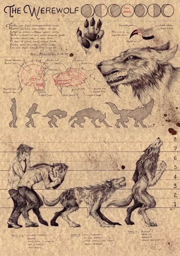 LICCARPHY WARRIOR RPG thumbnail