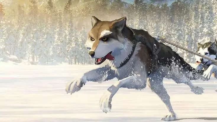 White Canine thumbnail