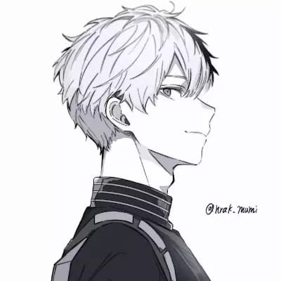 Shoto Todoroki thumbnail