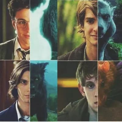 The Marauders thumbnail
